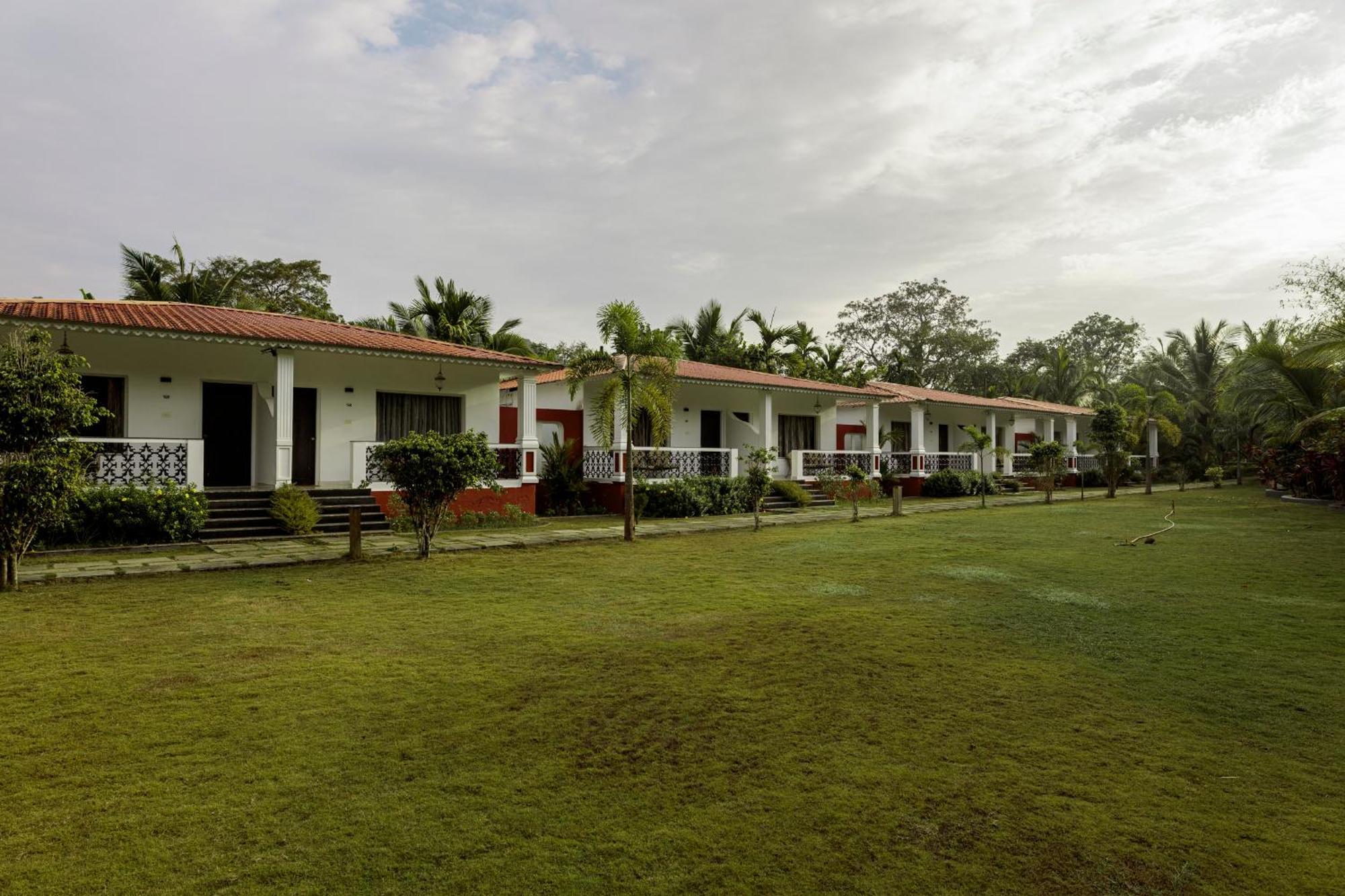 Wild Berry Resort Agonda Канкон Экстерьер фото